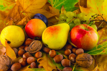 Ripe pear nuts apple grapes fall fruits on leaves