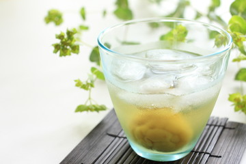 Japanese plum wine on rock