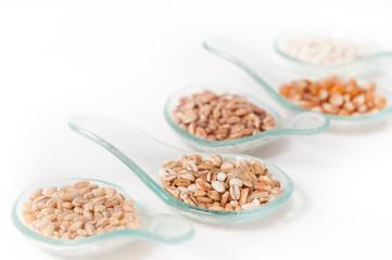 Cereals - grains on a white background_ Cereali su sfondo bianco
