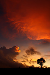 Fototapeta premium sunset