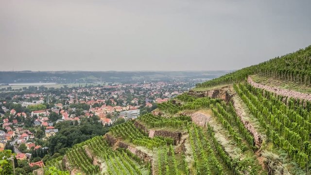 Radebeul Weinberg Zeitraffer wolkig