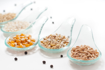 Cereals - grains on a white background_ Cereali su sfondo bianco