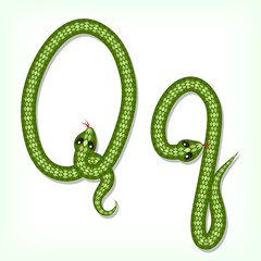 Obraz premium Snake font. Letter Q