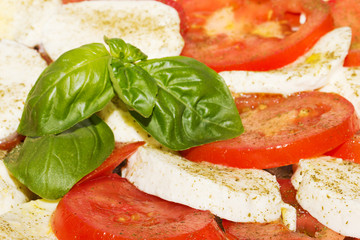 Tomaten mit Mozzarella