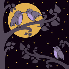 oiseaux de nuit