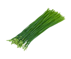 isolated leek flowers