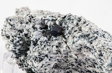 Anatasio Cervandone
