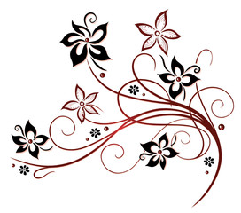 Ranke, flora, Blume, Blüte, border, frame, black, red