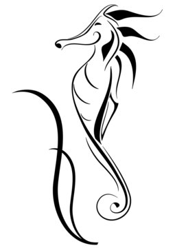 tattoo cavalluccio marino