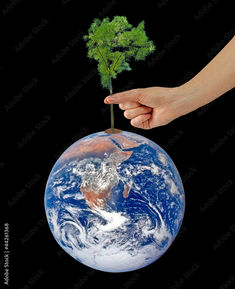 Wall mural tree on earth as a symbol of peace.elements of this image furnis