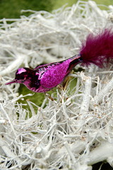 Weihnachtskarte - Christbaumschmuck im Kranz - Dekoration zu Weihnachten