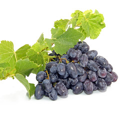 Raisin noir