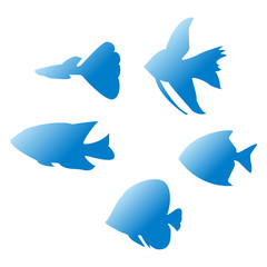 熱帯魚のシルエット