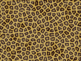 Spotted background wildlife