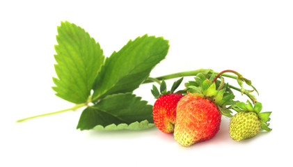 Strawberry with leaves