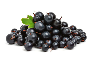 Black ripe currants