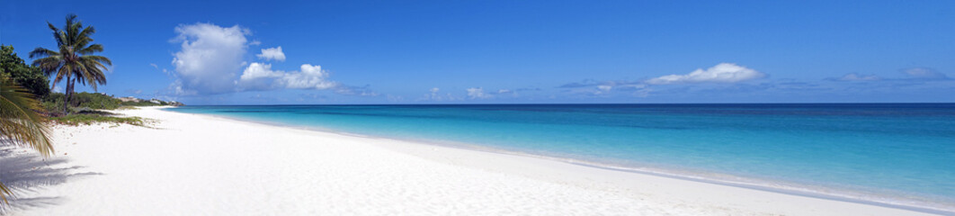 Caribisch strand.