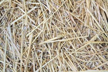 Close up of ground. Texture of straw.