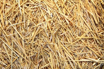 Close up of ground. Texture of straw.