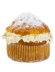 Vanilla cream muffin.