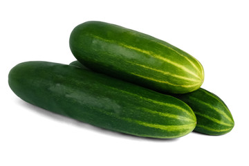 Fresh Green Cucumbers
