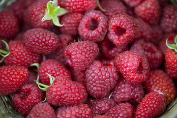 raspberry