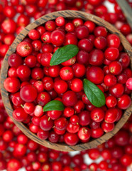 cranberries