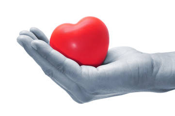 Fototapeta premium heart