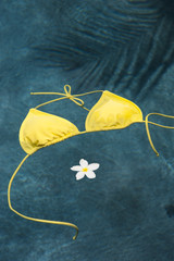 Floating in Paradise