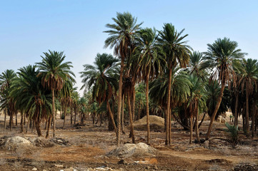 Pilgrims in the Holy Land - Qasr el Yahud Baptismal Site