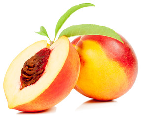 Nectarine fruit