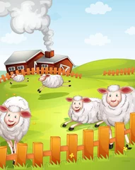 Poster Ferme moutons à la ferme