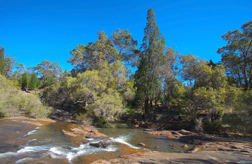 John forrest National park, australia