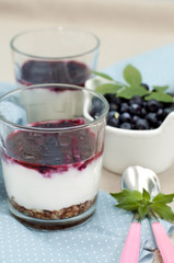 dessert with blueberry and yogurt