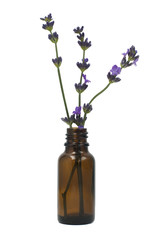 Lavender in bottle