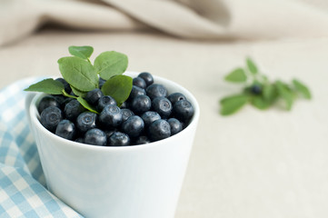Fresh blueberries