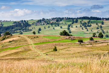 Obraz premium fields and meadows surrounding Zakopane