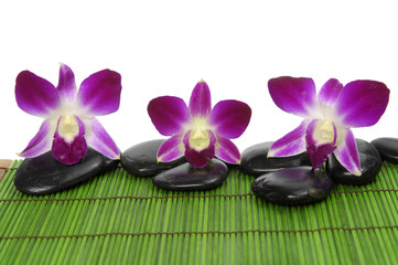 Fototapeta na wymiar Piękne trzy orchidei trzy kamienie