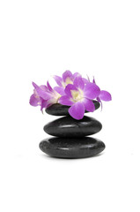 Beautiful pink orchid and stacked stones