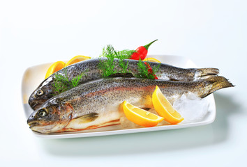Two fresh trout