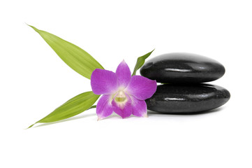 Fototapeta na wymiar spa concept- stones and pink orchid