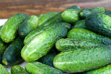 fresh green cucumber