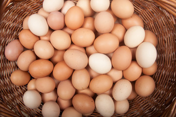 Eggs