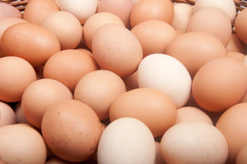 Brown eggs