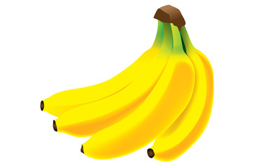 Bunch of bananas vector