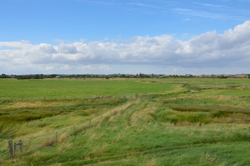 Fototapeta na wymiar Essex farm landscape