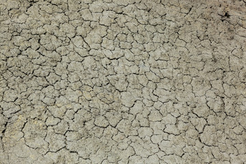 Mudflats