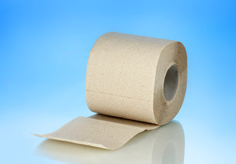rolls of toilet paper on blue background