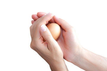 Female hands protecting an egg