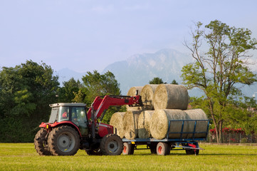 Tractor putting hay bale on barrow